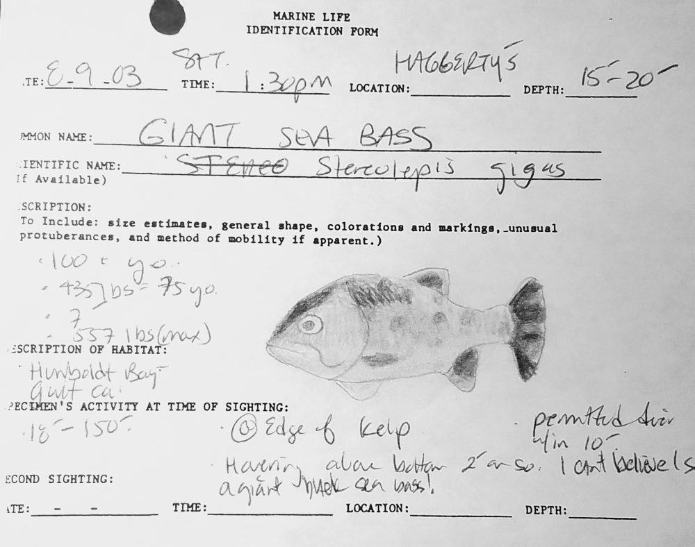 Adam Bein's Advanced Open Water SCUBA Class 2